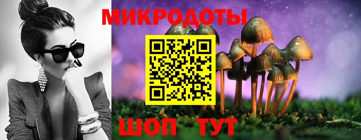 Псилоцибиновые грибы GOLDEN TEACHER  Вход с VPN  Волгоград 