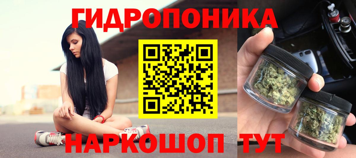 Конопля семена Волгоград